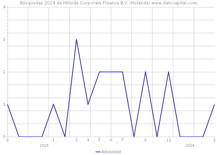 Búsquedas 2024 de Hillside Corporate Finance B.V. (Holanda) 