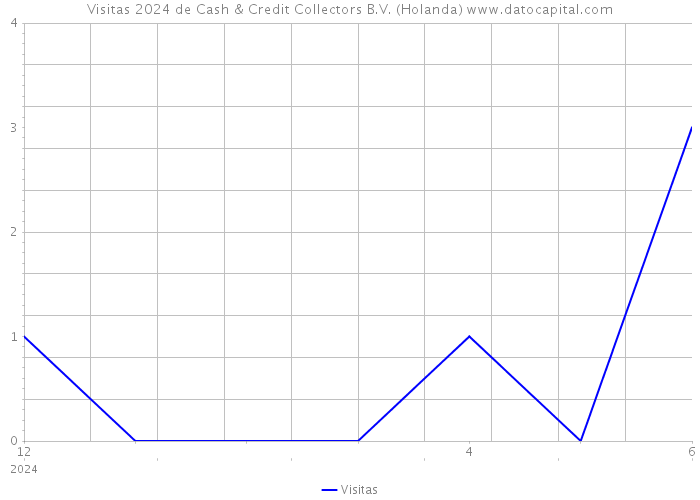 Visitas 2024 de Cash & Credit Collectors B.V. (Holanda) 