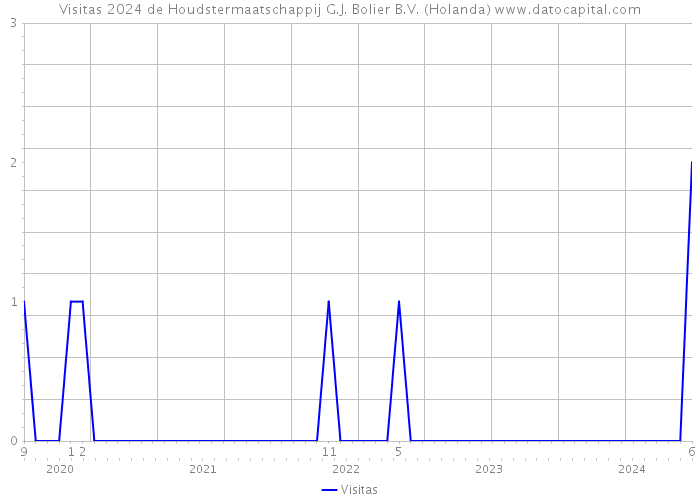 Visitas 2024 de Houdstermaatschappij G.J. Bolier B.V. (Holanda) 