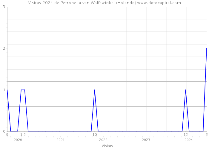 Visitas 2024 de Petronella van Wolfswinkel (Holanda) 