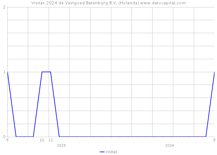 Visitas 2024 de Vastgoed Batenburg B.V. (Holanda) 
