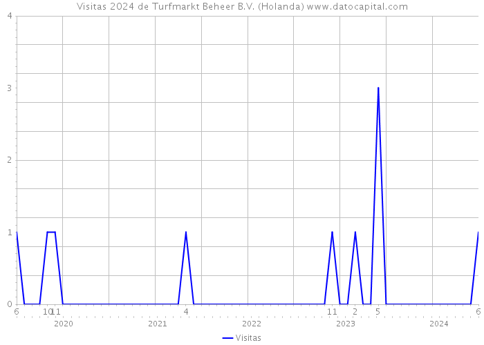 Visitas 2024 de Turfmarkt Beheer B.V. (Holanda) 