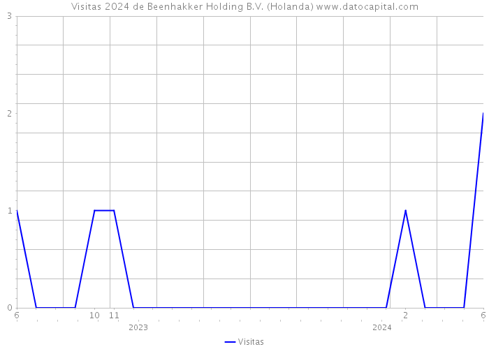 Visitas 2024 de Beenhakker Holding B.V. (Holanda) 