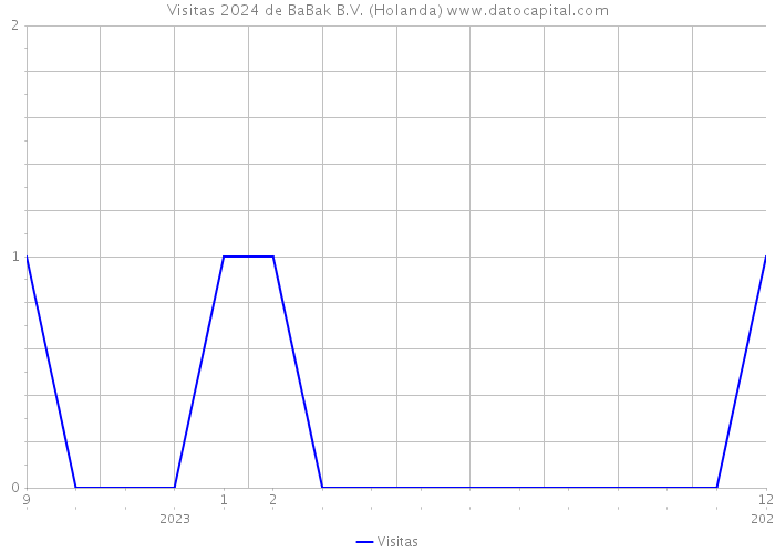 Visitas 2024 de BaBak B.V. (Holanda) 