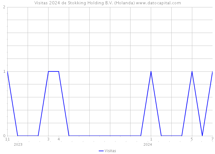 Visitas 2024 de Stokking Holding B.V. (Holanda) 