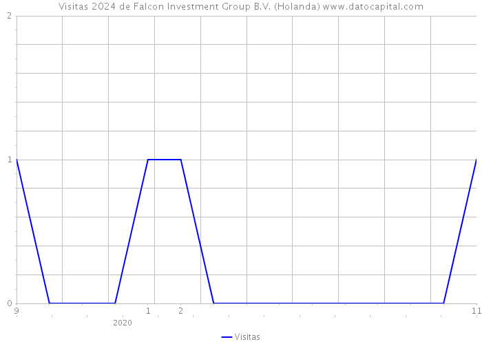 Visitas 2024 de Falcon Investment Group B.V. (Holanda) 