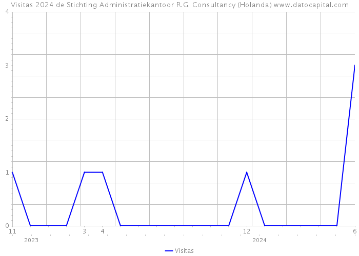 Visitas 2024 de Stichting Administratiekantoor R.G. Consultancy (Holanda) 