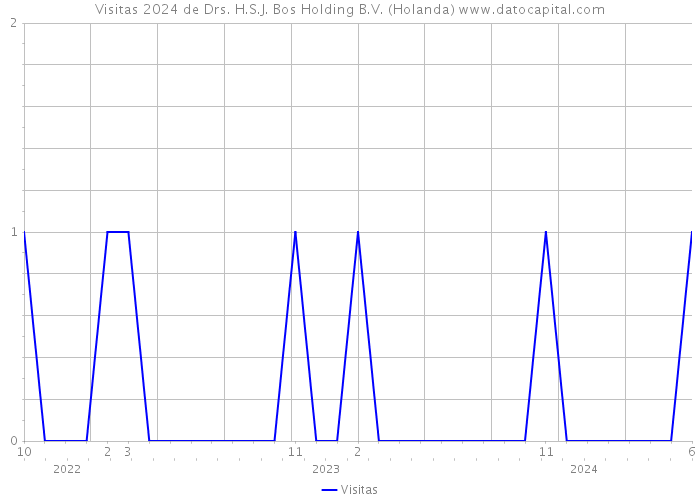 Visitas 2024 de Drs. H.S.J. Bos Holding B.V. (Holanda) 