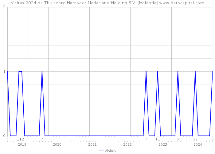 Visitas 2024 de Thuiszorg Hart voor Nederland Holding B.V. (Holanda) 