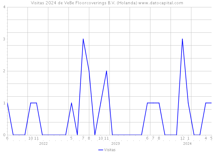 Visitas 2024 de VeBe Floorcoverings B.V. (Holanda) 