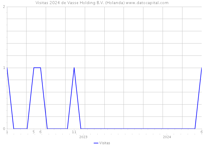 Visitas 2024 de Vasse Holding B.V. (Holanda) 