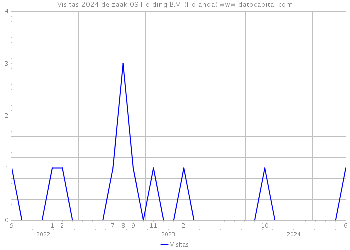 Visitas 2024 de zaak 09 Holding B.V. (Holanda) 