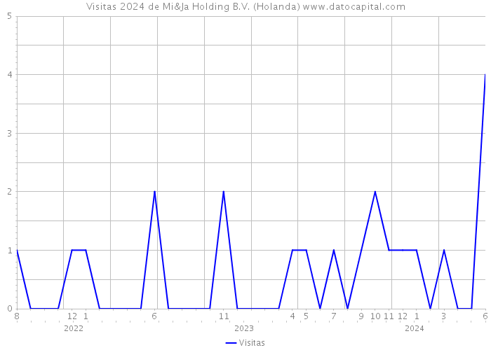 Visitas 2024 de Mi&Ja Holding B.V. (Holanda) 