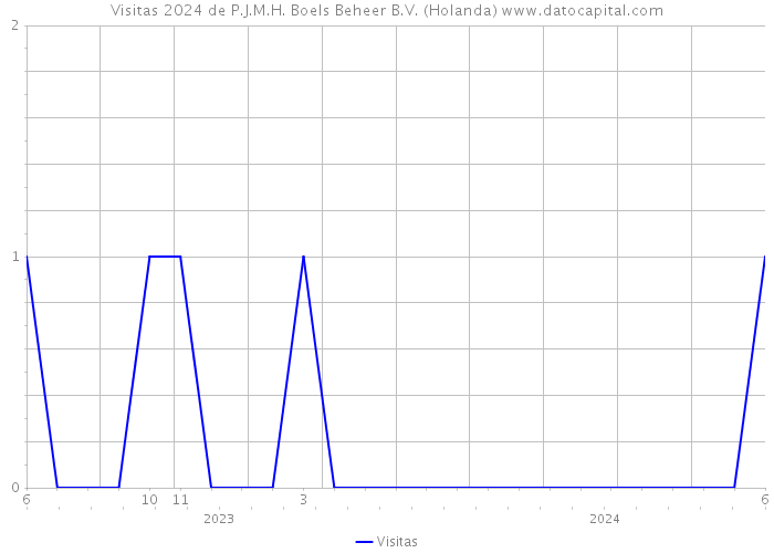 Visitas 2024 de P.J.M.H. Boels Beheer B.V. (Holanda) 