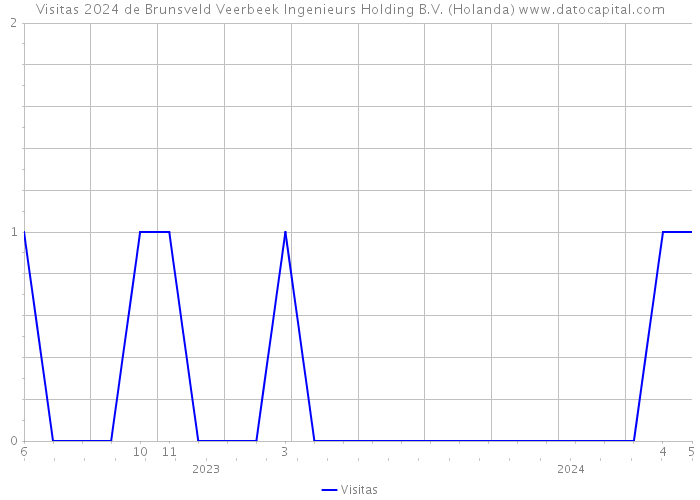 Visitas 2024 de Brunsveld Veerbeek Ingenieurs Holding B.V. (Holanda) 