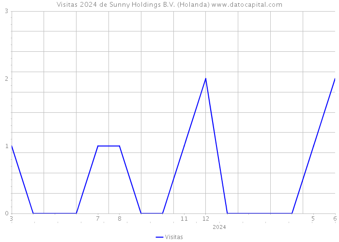 Visitas 2024 de Sunny Holdings B.V. (Holanda) 