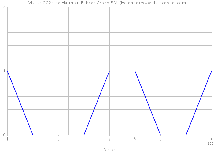 Visitas 2024 de Hartman Beheer Groep B.V. (Holanda) 