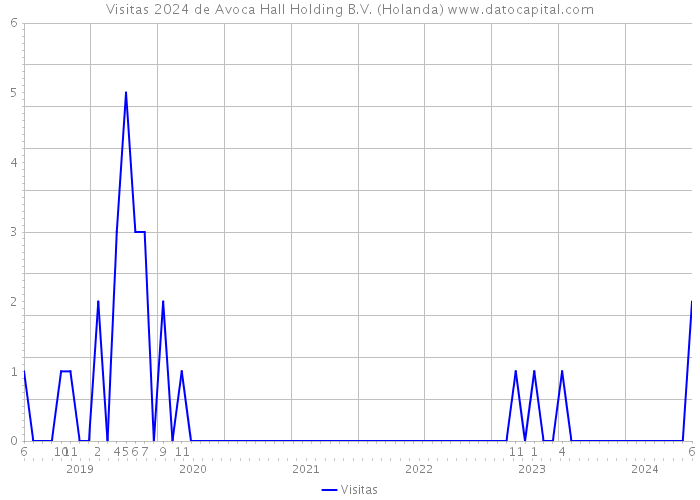 Visitas 2024 de Avoca Hall Holding B.V. (Holanda) 