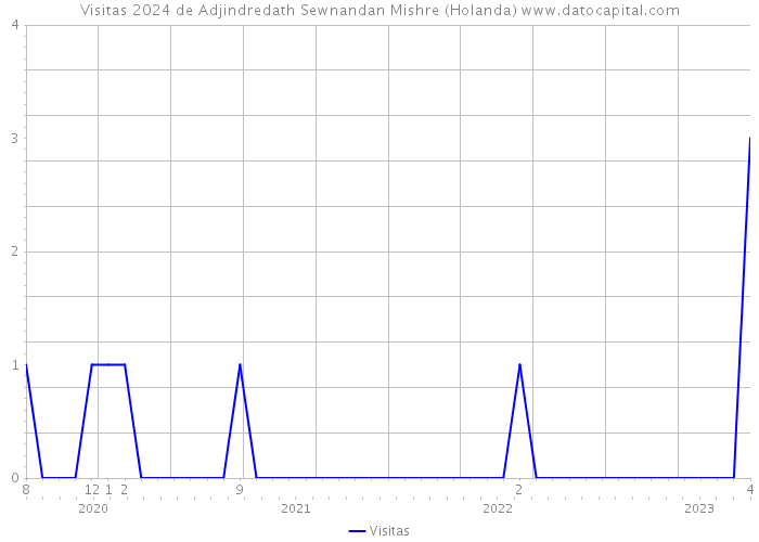 Visitas 2024 de Adjindredath Sewnandan Mishre (Holanda) 