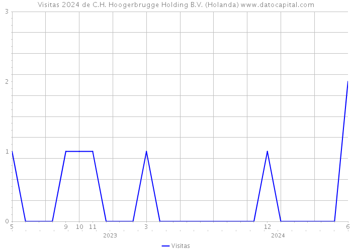 Visitas 2024 de C.H. Hoogerbrugge Holding B.V. (Holanda) 