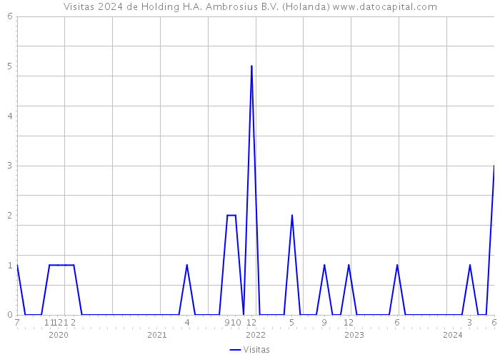 Visitas 2024 de Holding H.A. Ambrosius B.V. (Holanda) 