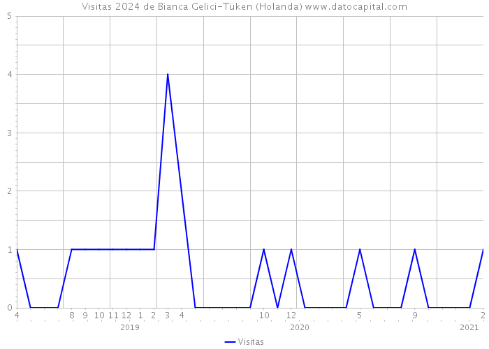 Visitas 2024 de Bianca Gelici-Tüken (Holanda) 