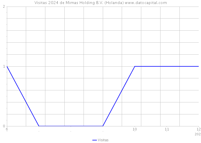 Visitas 2024 de Mimas Holding B.V. (Holanda) 