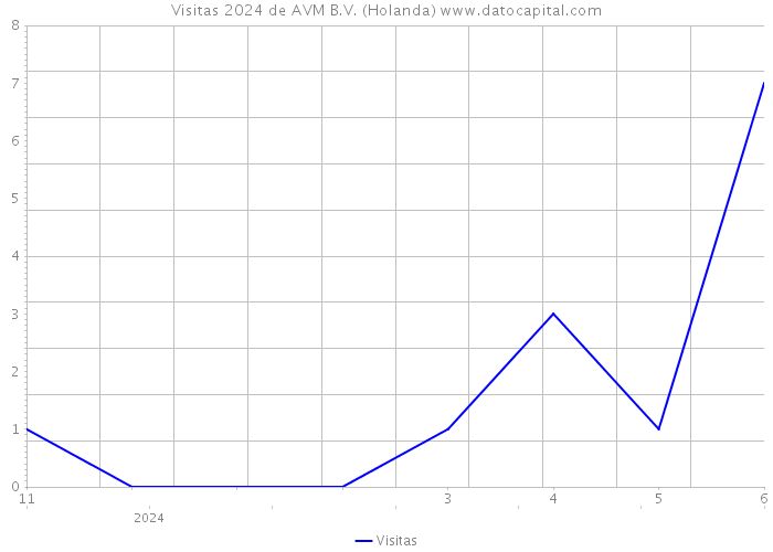 Visitas 2024 de AVM B.V. (Holanda) 