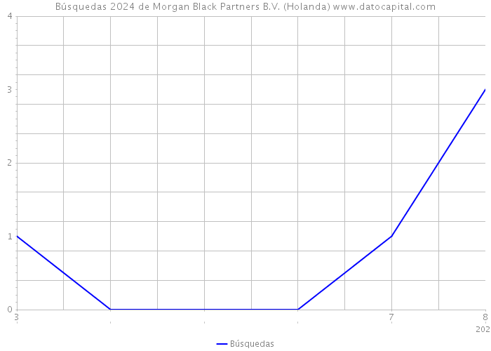 Búsquedas 2024 de Morgan Black Partners B.V. (Holanda) 