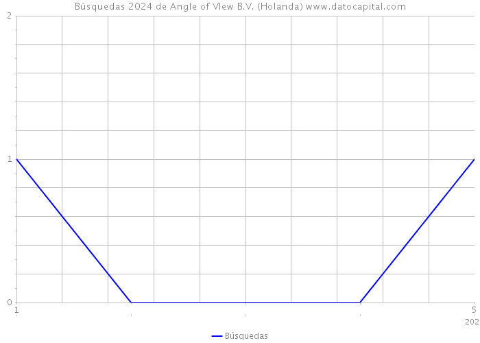 Búsquedas 2024 de Angle of VIew B.V. (Holanda) 