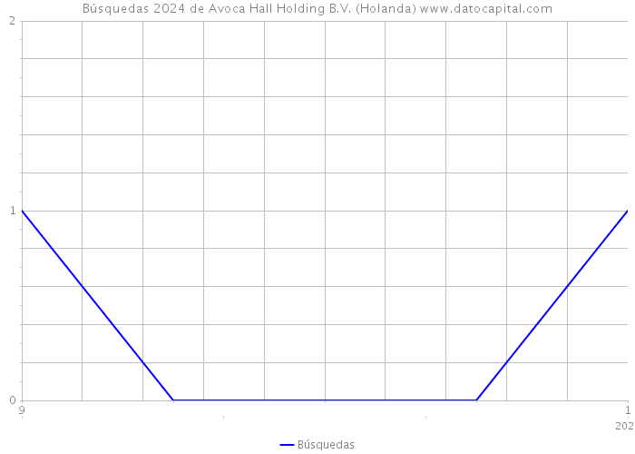 Búsquedas 2024 de Avoca Hall Holding B.V. (Holanda) 