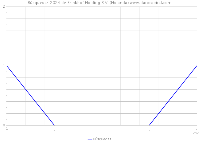 Búsquedas 2024 de Brinkhof Holding B.V. (Holanda) 