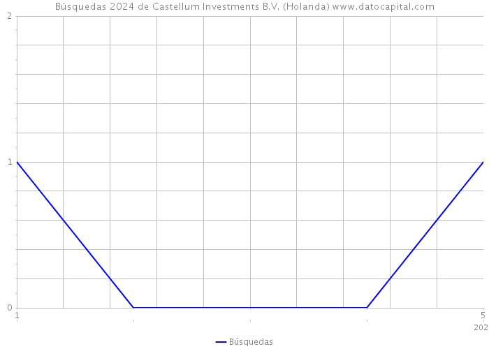 Búsquedas 2024 de Castellum Investments B.V. (Holanda) 