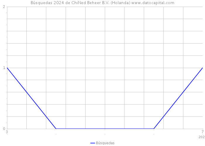 Búsquedas 2024 de ChiNed Beheer B.V. (Holanda) 