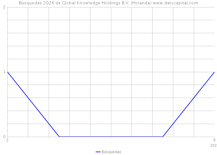 Búsquedas 2024 de Global Knowledge Holdings B.V. (Holanda) 