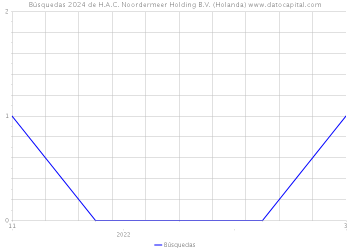 Búsquedas 2024 de H.A.C. Noordermeer Holding B.V. (Holanda) 