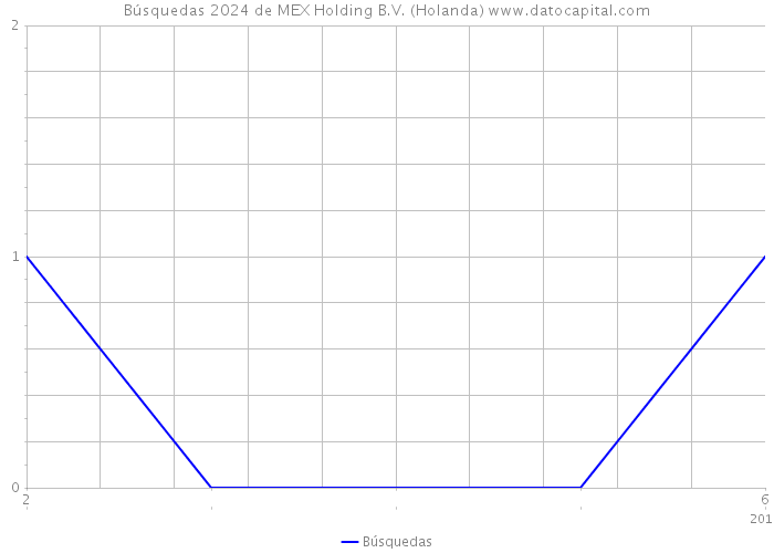 Búsquedas 2024 de MEX Holding B.V. (Holanda) 