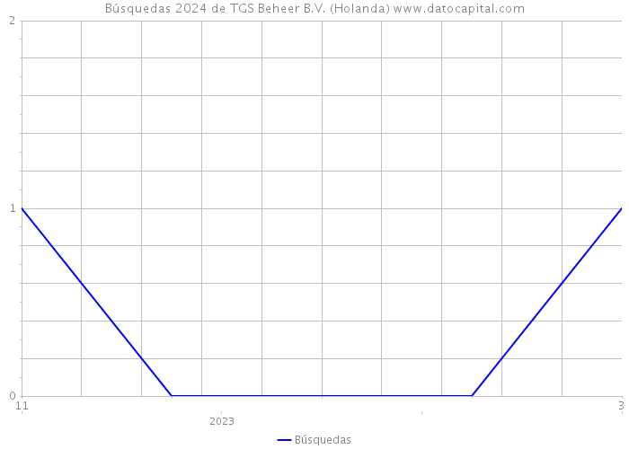 Búsquedas 2024 de TGS Beheer B.V. (Holanda) 