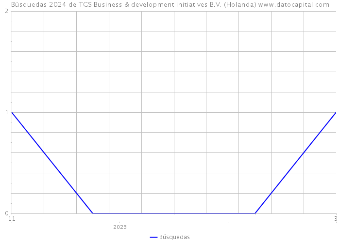 Búsquedas 2024 de TGS Business & development initiatives B.V. (Holanda) 