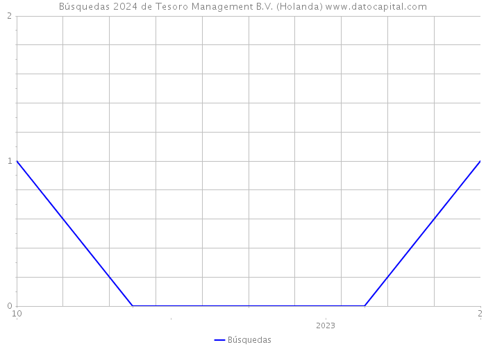 Búsquedas 2024 de Tesoro Management B.V. (Holanda) 