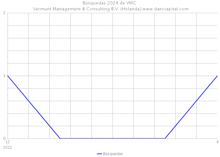 Búsquedas 2024 de VMC | Vermunt Management & Consulting B.V. (Holanda) 