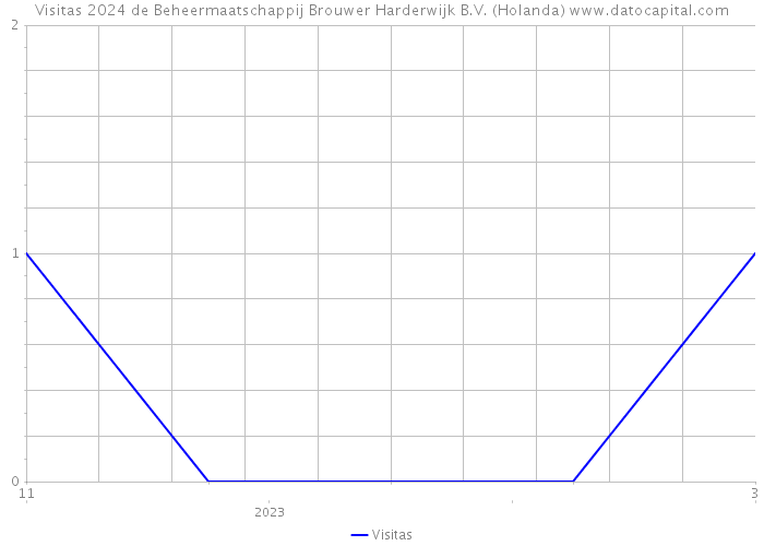 Visitas 2024 de Beheermaatschappij Brouwer Harderwijk B.V. (Holanda) 