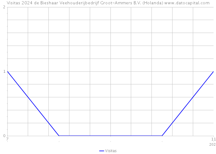 Visitas 2024 de Bieshaar Veehouderijbedrijf Groot-Ammers B.V. (Holanda) 