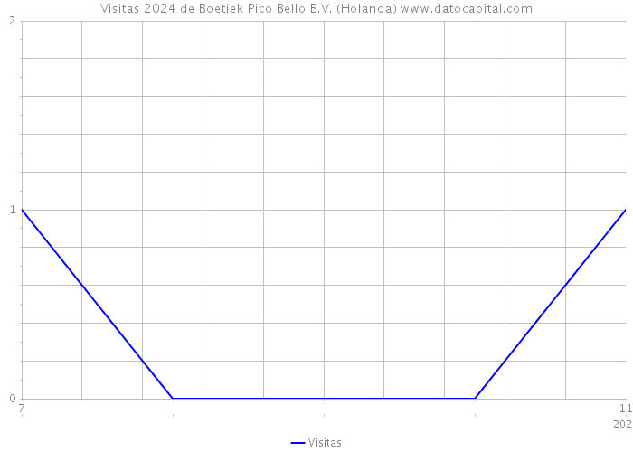 Visitas 2024 de Boetiek Pico Bello B.V. (Holanda) 