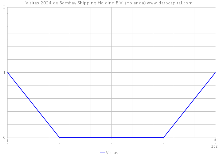 Visitas 2024 de Bombay Shipping Holding B.V. (Holanda) 