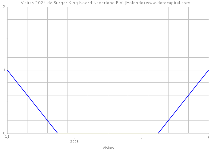 Visitas 2024 de Burger King Noord Nederland B.V. (Holanda) 