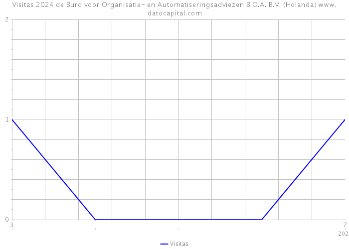 Visitas 2024 de Buro voor Organisatie- en Automatiseringsadviezen B.O.A. B.V. (Holanda) 