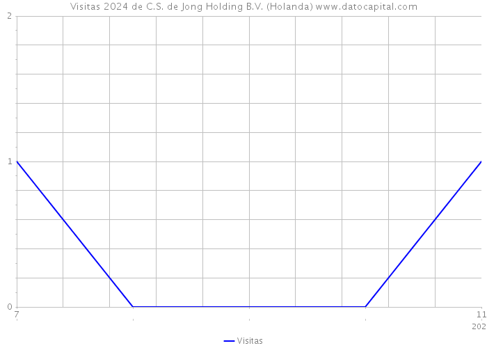 Visitas 2024 de C.S. de Jong Holding B.V. (Holanda) 