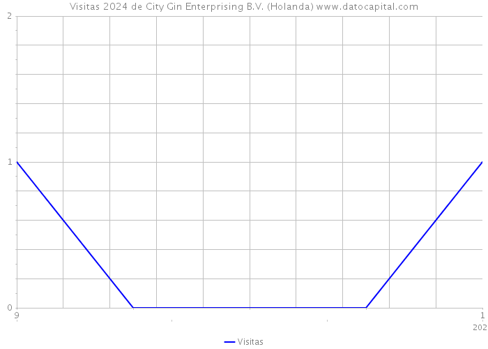 Visitas 2024 de City Gin Enterprising B.V. (Holanda) 