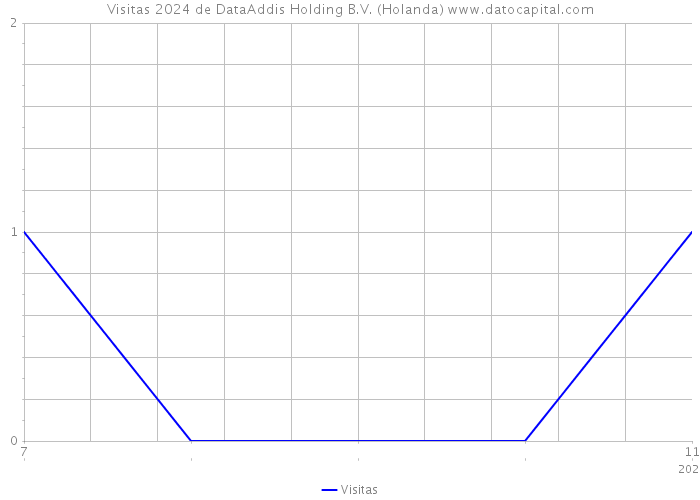 Visitas 2024 de DataAddis Holding B.V. (Holanda) 